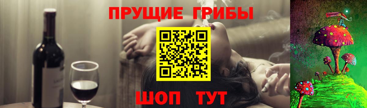 Псилоцибиновые грибы Psilocybe  Вход с VPN  Валуйки 